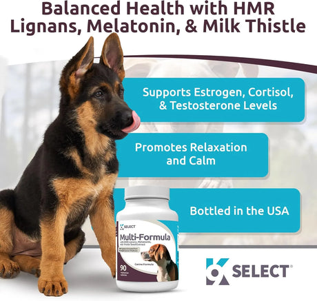 K9 SELECT - K9 Select Multi-Formula Dog Vitamins for Medium Dogs Unflavored 90 Capsulas - The Red Vitamin MX - Multivitamínicos Para Perros - {{ shop.shopifyCountryName }}