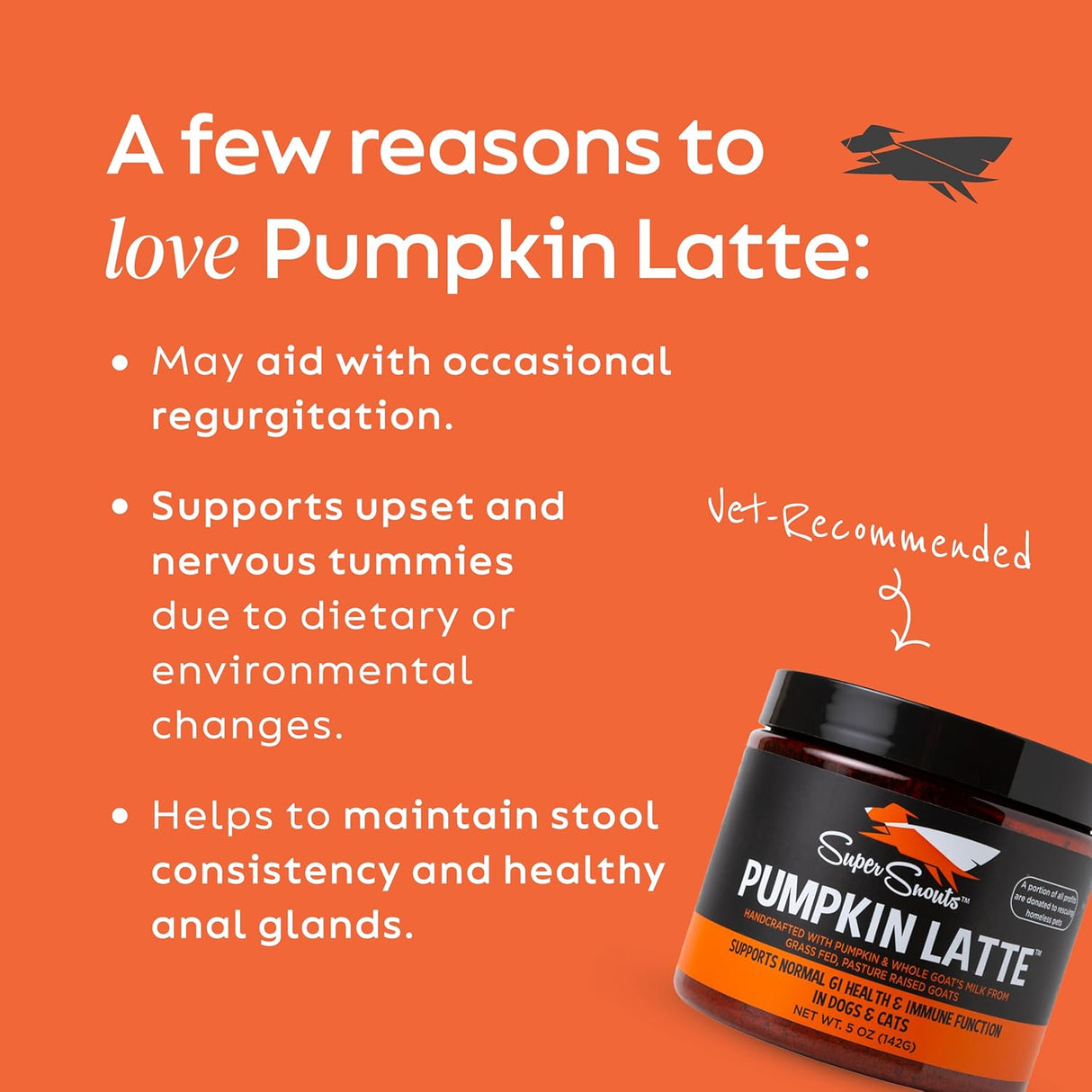 Super Snouts Pumpkin Latte Digestive Supplement for Dogs 284Gr.