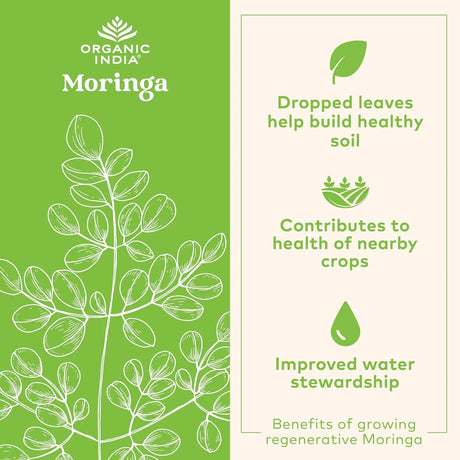 ORGANIC INDIA - ORGANIC INDIA Moringa Powder 226Gr. - The Red Vitamin MX - Suplementos Alimenticios - {{ shop.shopifyCountryName }}