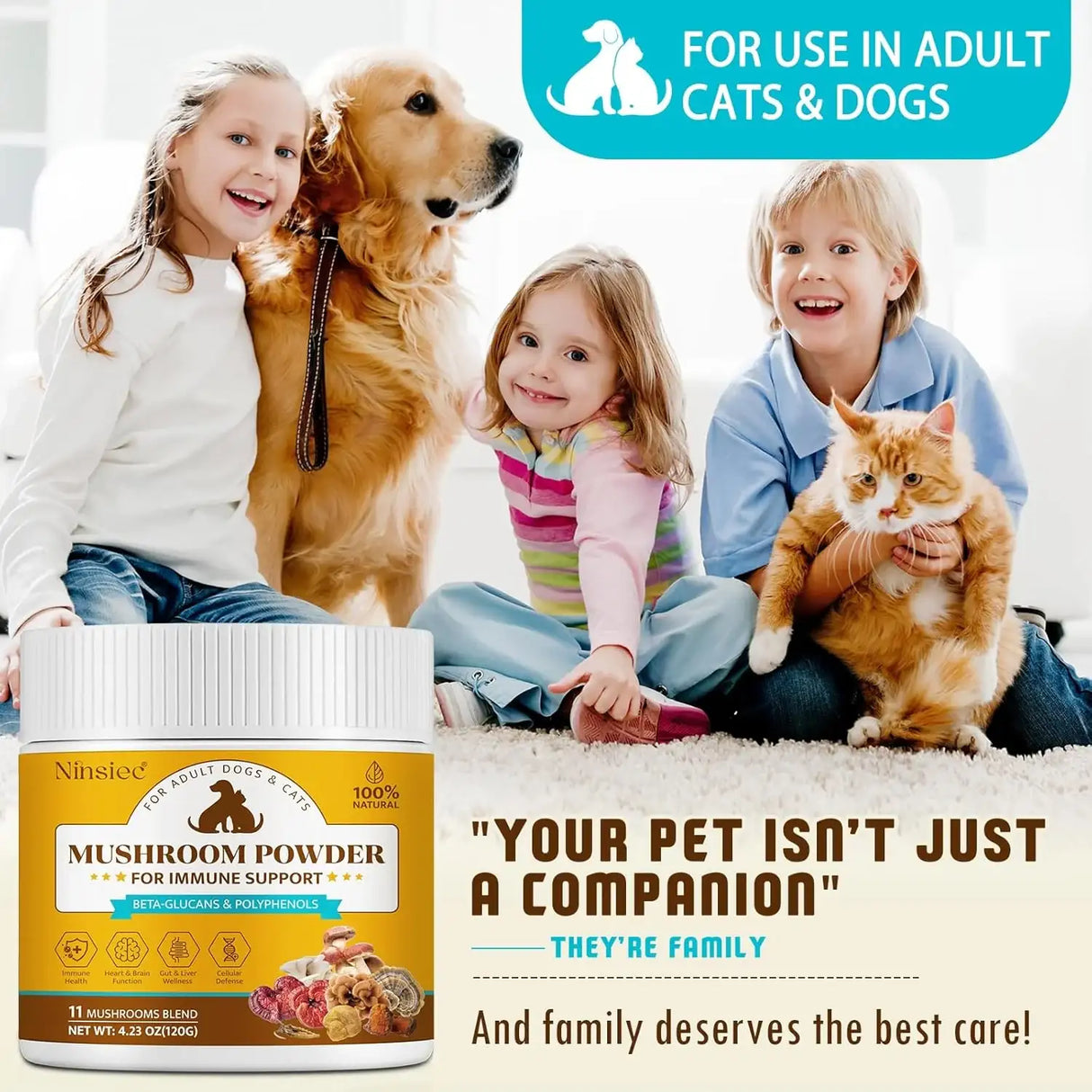 BXRUIAGN - BXRUIAGN Organic Mushroom Supplement Powder for Dogs 120Gr. - The Red Vitamin MX - Suplementos Herbales Para Perros - {{ shop.shopifyCountryName }}