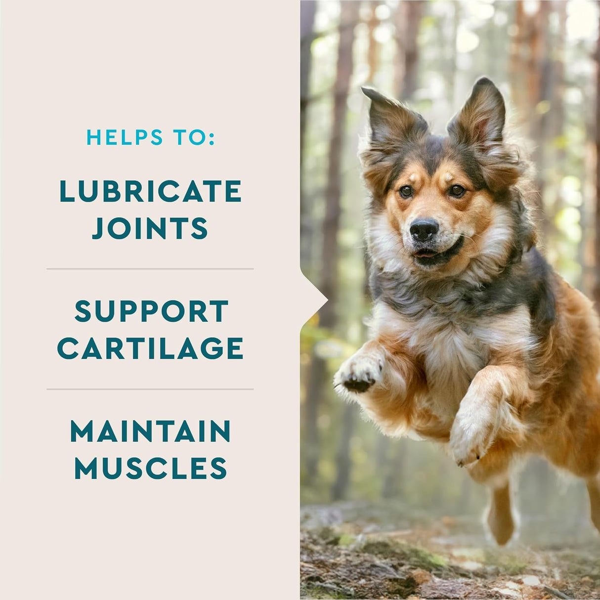 VetIQ Glucosamine Hip & Joint Supplement for Dogs 60 Masticables