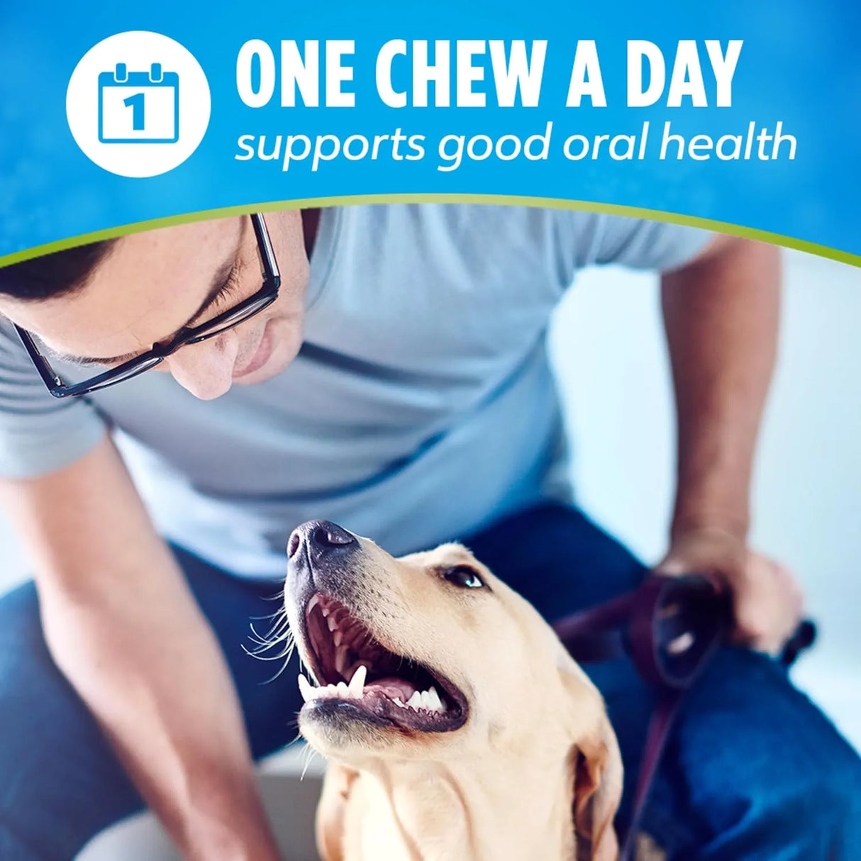 PURINA - Purina DentaLife ActivFresh Dog Chews for Small and Medium Dogs 21 Piezas - The Red Vitamin MX - Cuidado Dental Para Perros - {{ shop.shopifyCountryName }}
