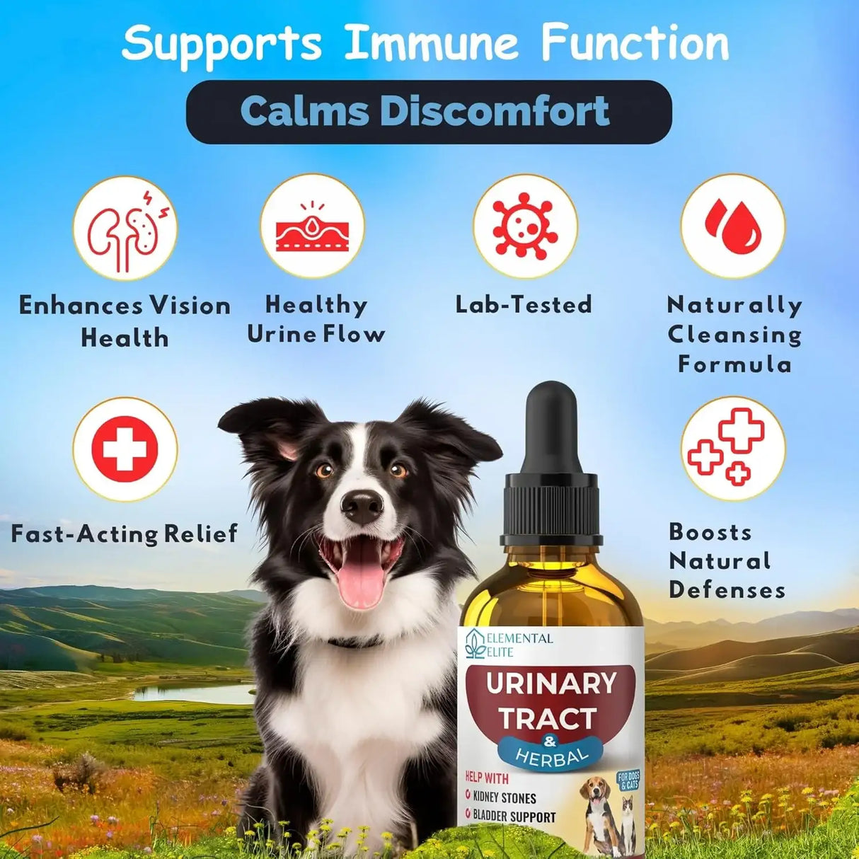 ELEMENTAL ELITE - Elemental Elite Urinary Tract Health Treatment for Dogs & Cats 1 Fl.Oz. - The Red Vitamin MX - Salud De Tracto Urinario Para Perros - {{ shop.shopifyCountryName }}