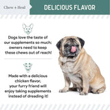 CHEW + HEAL - Chew + Heal Labs Senior Hip and Joint Chicken Flavor 120 Masticables - The Red Vitamin MX - Cuidado De Cadera Y Articulaciones Para Perros - {{ shop.shopifyCountryName }}