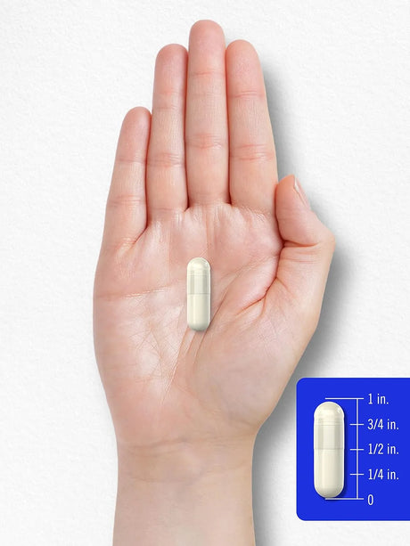 CARLYLE - Carlyle B-100 Complex 250 Capsulas - The Red Vitamin MX - Suplementos Alimenticios - {{ shop.shopifyCountryName }}