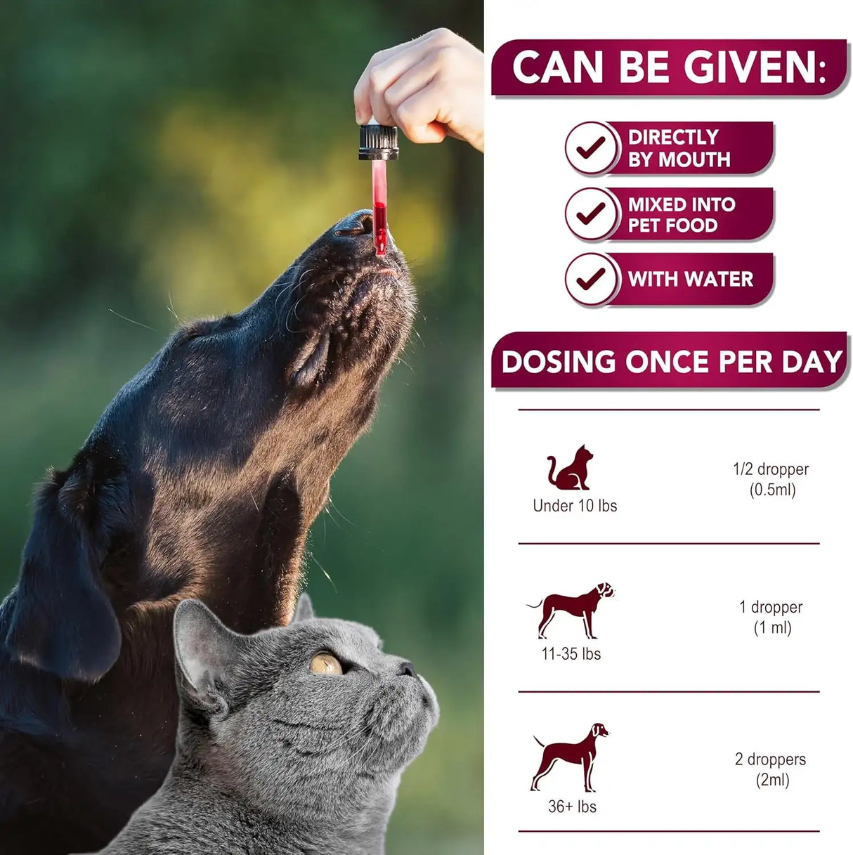 VET PROMISE - Vet Promise Urinary Tract Infection Treatments with Cranberry 2 Fl.Oz. - The Red Vitamin MX - Salud De Tracto Urinario Para Perros - {{ shop.shopifyCountryName }}