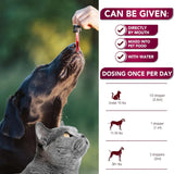 VET PROMISE - Vet Promise Urinary Tract Infection Treatments with Cranberry 2 Fl.Oz. - The Red Vitamin MX - Salud De Tracto Urinario Para Perros - {{ shop.shopifyCountryName }}