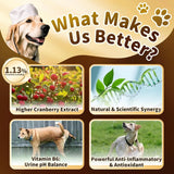 POPPAW - POPPAW Dog UTI Treatment & Urinary Tract Support Bacon Flavor 2 Fl.Oz. - The Red Vitamin MX - Salud De Tracto Urinario Para Perros - {{ shop.shopifyCountryName }}