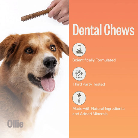 OLLIE - Ollie Dental Chews for Small Dogs 16-25 lbs 22 Piezas - The Red Vitamin MX - Cuidado Dental Para Perros - {{ shop.shopifyCountryName }}