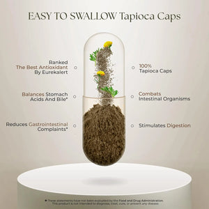 DR. CLARK - Dr Clark Superblend Wormwood 330Mg. 100 Capsulas - The Red Vitamin MX - Suplementos Alimenticios - {{ shop.shopifyCountryName }}