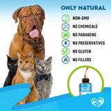 BELOVED PETS - Beloved Pets Kennel Cough Treatment & Natural Infection Medicine for Dogs & Cats 2 Fl.Oz. - The Red Vitamin MX - Medicamentos Sin Receta Para Perros - {{ shop.shopifyCountryName }}