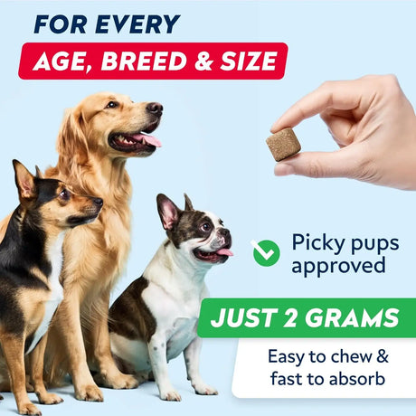 STRELLALAB - STRELLALAB Green Grass Dog Chews 120 Masticables - The Red Vitamin MX - Salud De Tracto Urinario Para Perros - {{ shop.shopifyCountryName }}