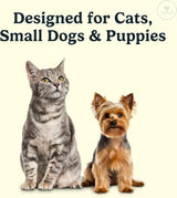 Jasper Microbrush Cat Toothbrush Soft-Bristled Toothbrush Kit