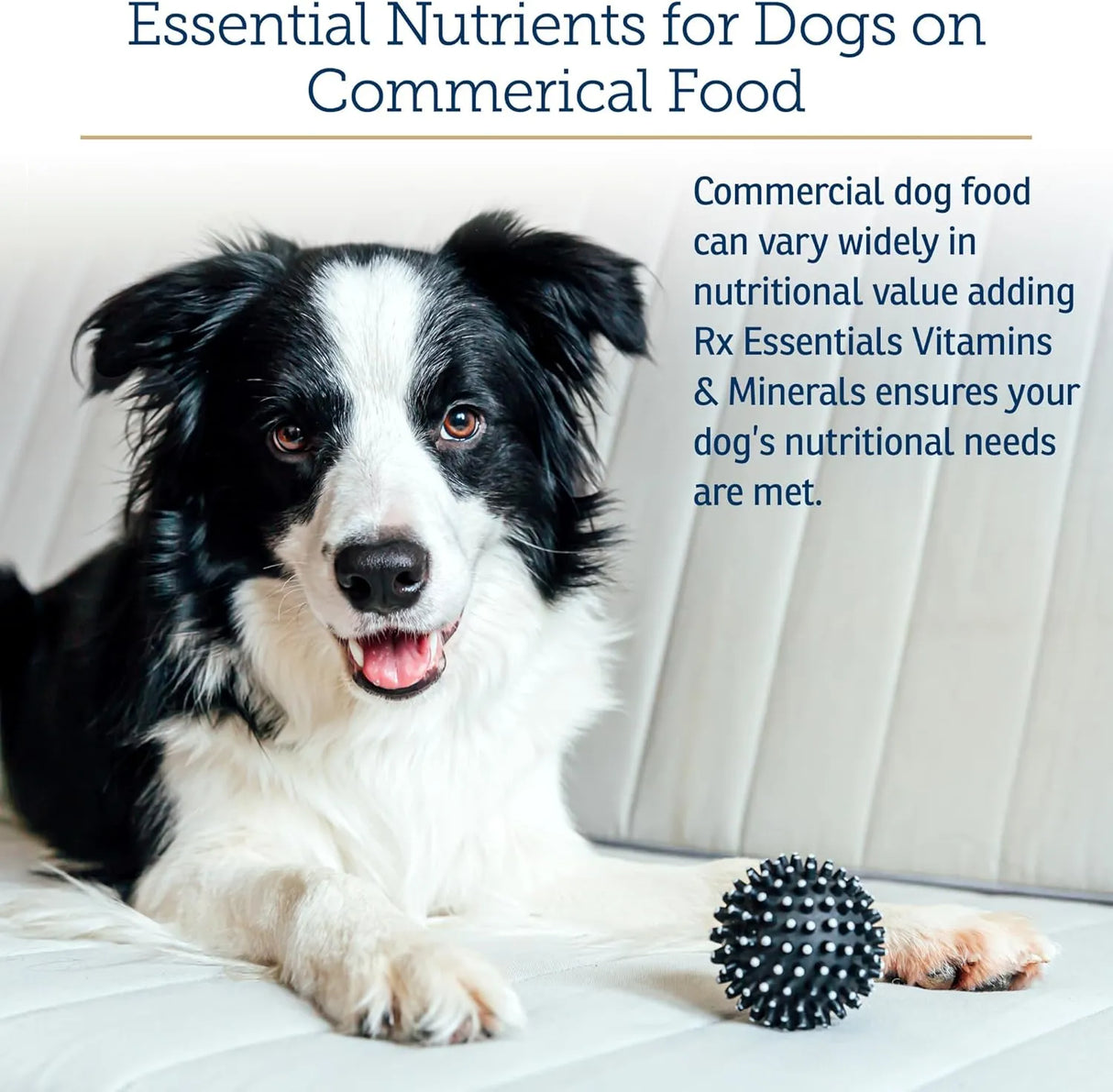 RX VITAMINS - Rx Vitamins Essentials for Dogs Daily Dog Multivitamin Powder 227Gr. - The Red Vitamin MX - Multivitamínicos Para Perros - {{ shop.shopifyCountryName }}