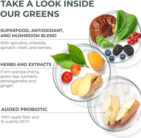 PRIMAL HARVEST - Primal Harvest Super Greens Powder 30 Servicios 240Gr. - The Red Vitamin MX - Suplementos Alimenticios - {{ shop.shopifyCountryName }}