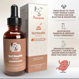 FURREVER - Furrever Gut Health Probiotics for Dogs Chicken Flavor 2 Fl.Oz. - The Red Vitamin MX - Probióticos Para Perros - {{ shop.shopifyCountryName }}