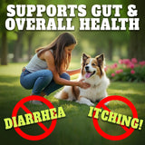 BEST PROBIOTICS FOR DOGS - BEST Probiotics for Dogs Digestive Health 30 Masticables - The Red Vitamin MX - Probióticos Para Perros - {{ shop.shopifyCountryName }}