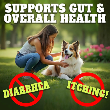 BEST PROBIOTICS FOR DOGS - BEST Probiotics for Dogs Digestive Health 30 Masticables - The Red Vitamin MX - Probióticos Para Perros - {{ shop.shopifyCountryName }}