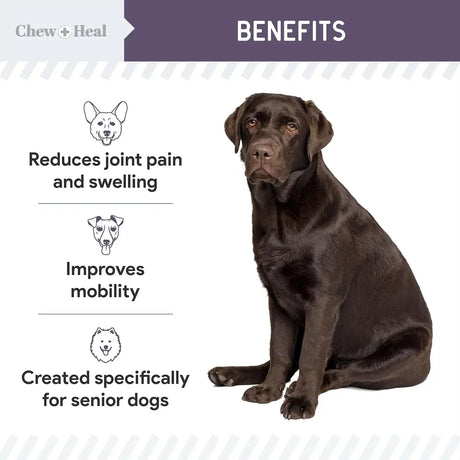 CHEW + HEAL - Chew + Heal Labs Senior Mobility and Vitality 120 Tabletas - The Red Vitamin MX - Cuidado De Cadera Y Articulaciones Para Perros - {{ shop.shopifyCountryName }}