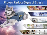 COZYVEST - CozyVest Dog Anxiety Vest 3-in-1 GRAY MEDIUM - The Red Vitamin MX - Relajantes Para Perros - {{ shop.shopifyCountryName }}