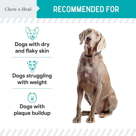 CHEW + HEAL - Chew + Heal Labs Kelp Supplement for Dogs 16 Oz. - The Red Vitamin MX - Suplementos Herbales Para Perros - {{ shop.shopifyCountryName }}