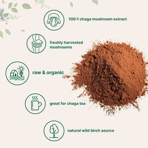 MICRO INGREDIENTS - Micro Ingredients Organic Chaga Mushroom Extract 100:1 Powder 283Gr. - The Red Vitamin MX - Suplementos Alimenticios - {{ shop.shopifyCountryName }}