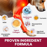 BuddyCheer Glucosamine for Dogs Hip and Joint Supplement Chews 180 Masticables