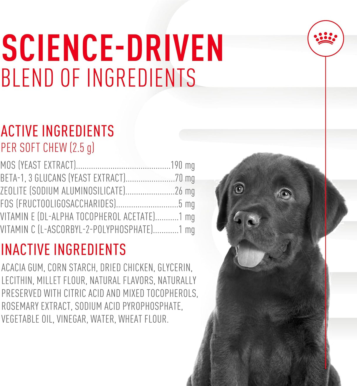 Royal Canin Puppy Supplement Immunity & Digestion Chew 60 Masticables