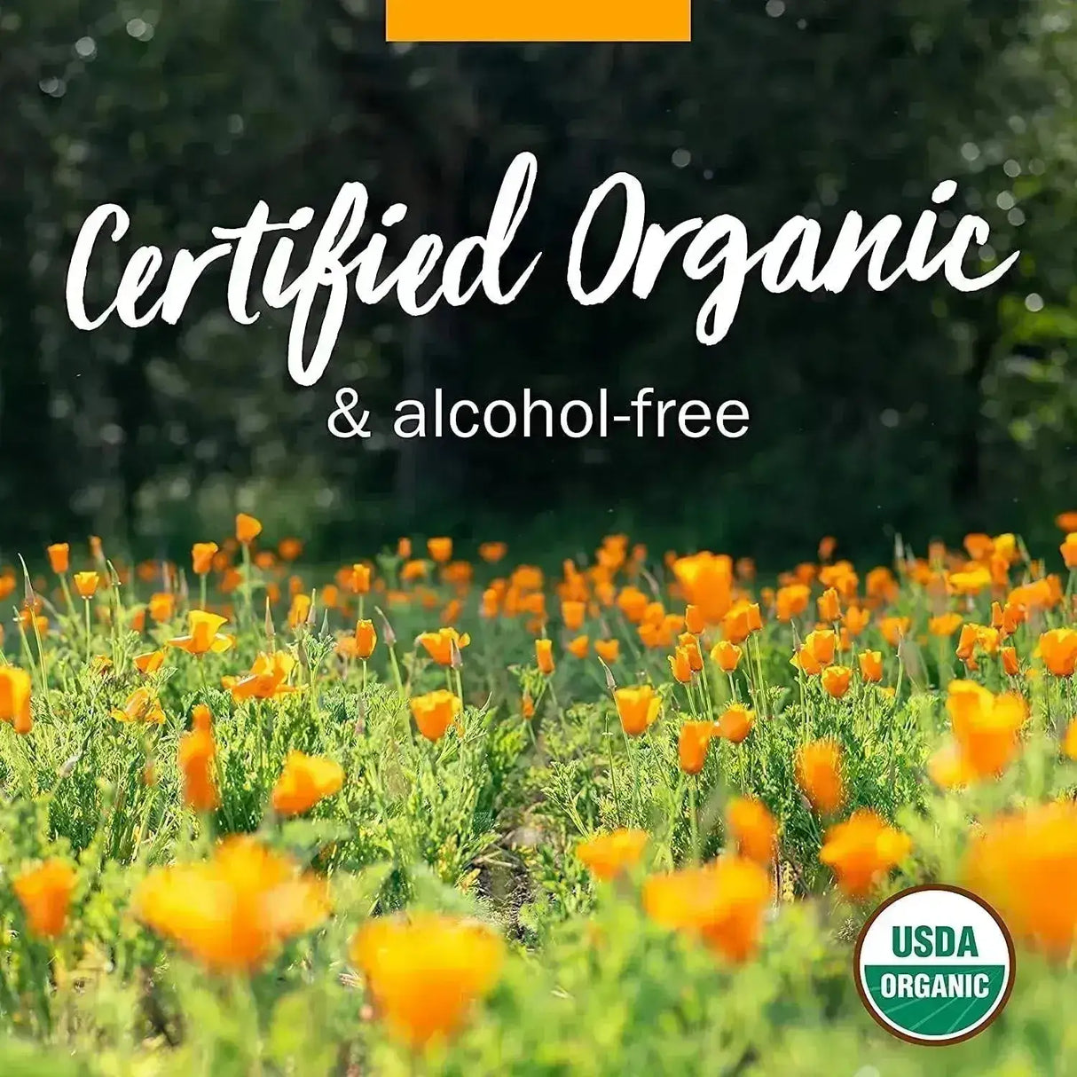 HERB PHARM - Herb Pharm Juniper Certified Organic Liquid Extract 1 Fl.Oz. 2 Pack - The Red Vitamin MX - Suplementos Alimenticios - {{ shop.shopifyCountryName }}