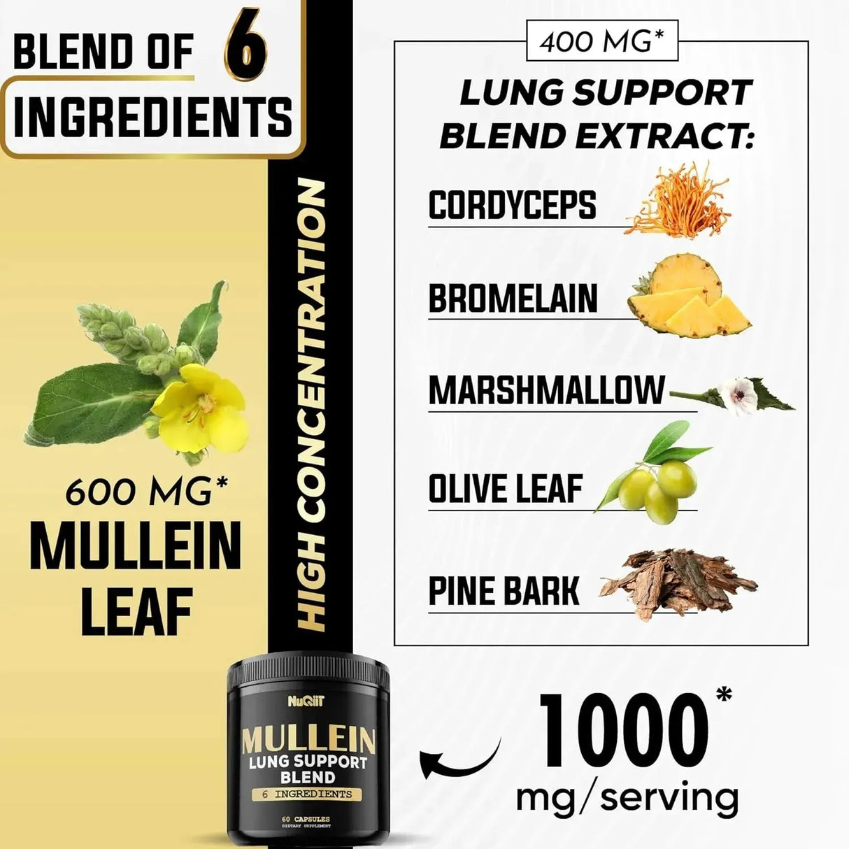 NUQIIT - NUQIIT Mullein Leaf 1000Mg. 60 Capsulas - The Red Vitamin MX - Suplementos Alimenticios - {{ shop.shopifyCountryName }}