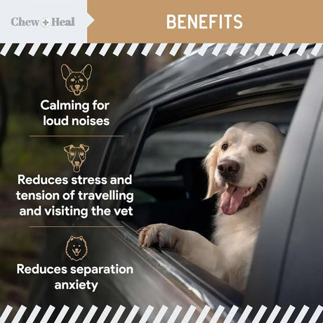 CHEW + HEAL - Chew + Heal Labs Calming Chews for Dogs Peanut Butter 60 Masticables - The Red Vitamin MX - Relajantes Para Perros - {{ shop.shopifyCountryName }}