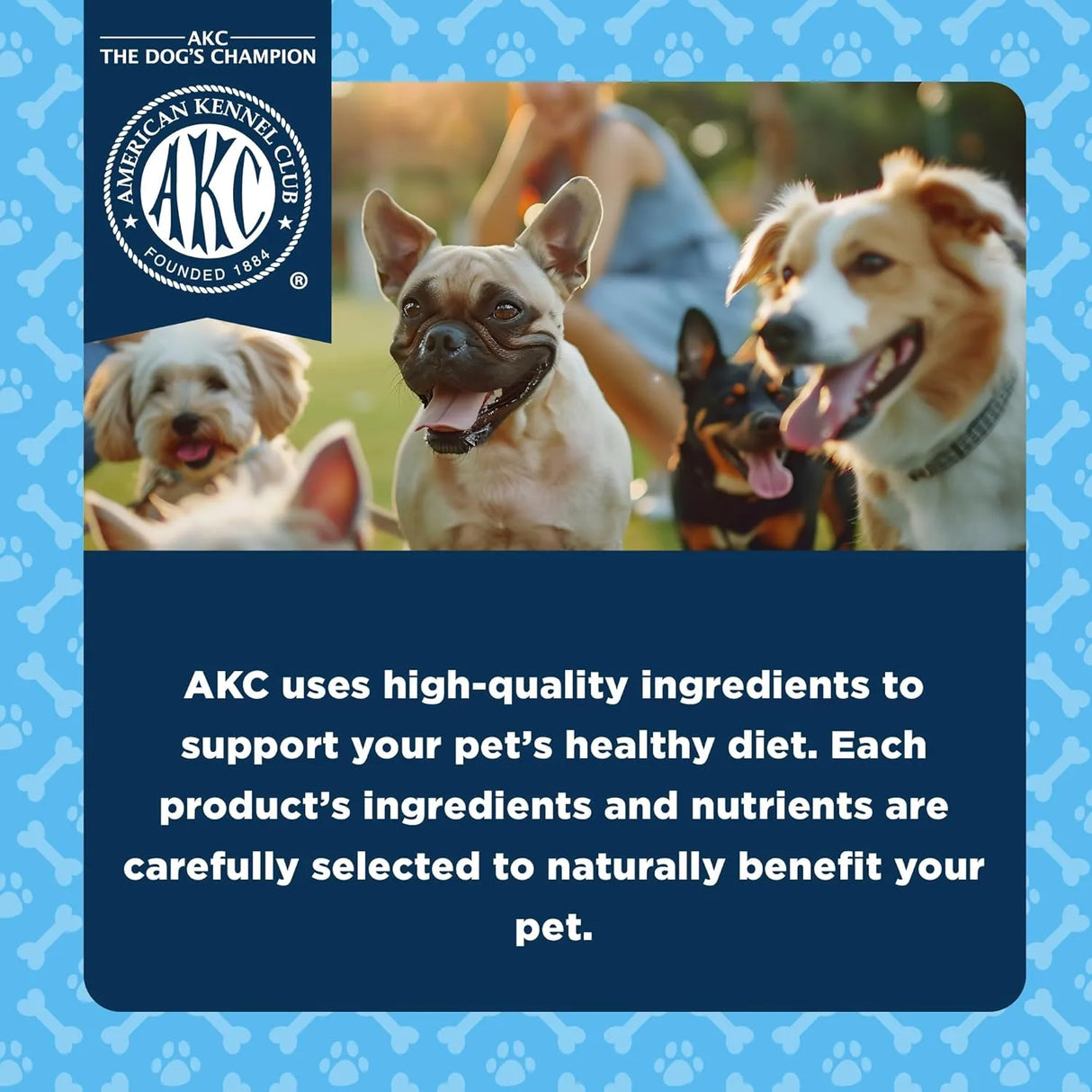 AMERICAN KENNEL CLUB - American Kennel Club Dentacare Smoked Flavor Dog Treats Large Dog Breeds 15 Piezas - The Red Vitamin MX - Cuidado Dental Para Perros - {{ shop.shopifyCountryName }}