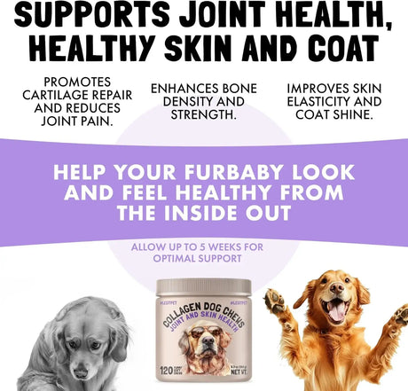 LEGITPET - LEGITPET Collagen Dog Chews for Joint & Skin Health 120 Masticables - The Red Vitamin MX - Cuidado De Cadera Y Articulaciones Para Perros - {{ shop.shopifyCountryName }}