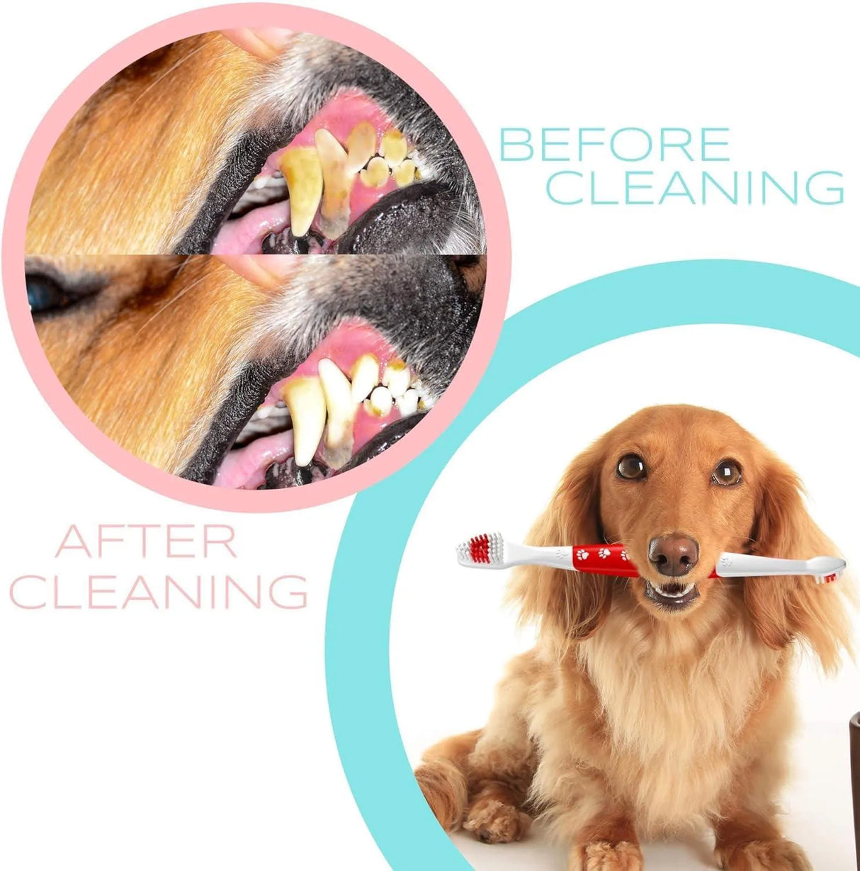 PETS & PUPPS - Pets & Pupps Pet Toothbrush for Dogs - The Red Vitamin MX - Cuidado Dental Para Perros - {{ shop.shopifyCountryName }}