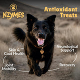 Nzymes Antioxidant Treats for Dogs 60 Masticables 2 Pack