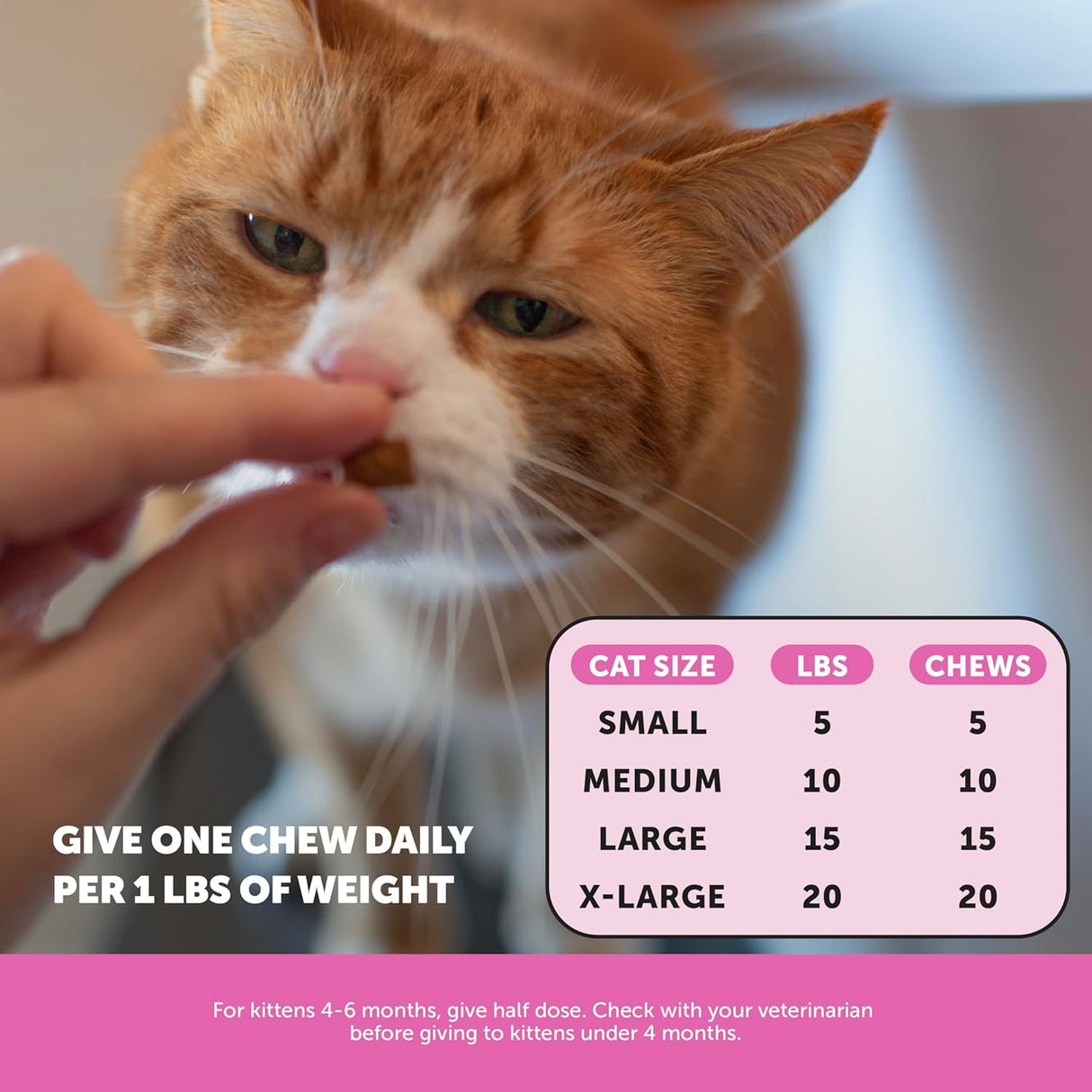 Pet Honesty Cat Multivitamin Crunchy & Creamy Chews 90 Masticables
