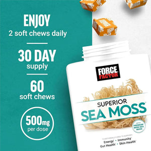 FORCE FACTOR - FORCE FACTOR Superior Sea Moss Salted Caramel Flavor 60 Masticables - The Red Vitamin MX - Suplementos Alimenticios - {{ shop.shopifyCountryName }}