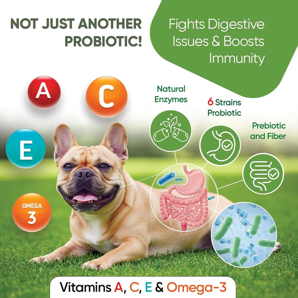 PAWIOUS - Pawious Probiotics for Dogs 120 Masticables - The Red Vitamin MX - Probióticos Para Perros - {{ shop.shopifyCountryName }}