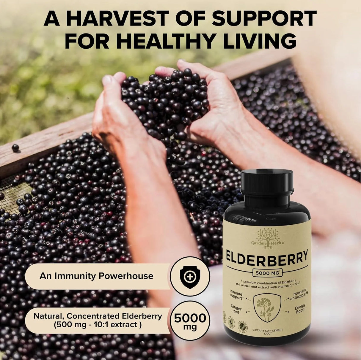 GARDEN OF HERBZ - Garden of Herbz Elderberry with Vitamin C, Zinc & Ginger 120 Capsulas - The Red Vitamin MX - Suplementos Alimenticios - {{ shop.shopifyCountryName }}