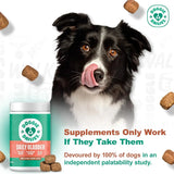 DOGGIE DAILIES - Doggie Dailies Cranberry Supplement for Dogs Bacon Flavored 225 Masticables - The Red Vitamin MX - Salud De Tracto Urinario Para Perros - {{ shop.shopifyCountryName }}