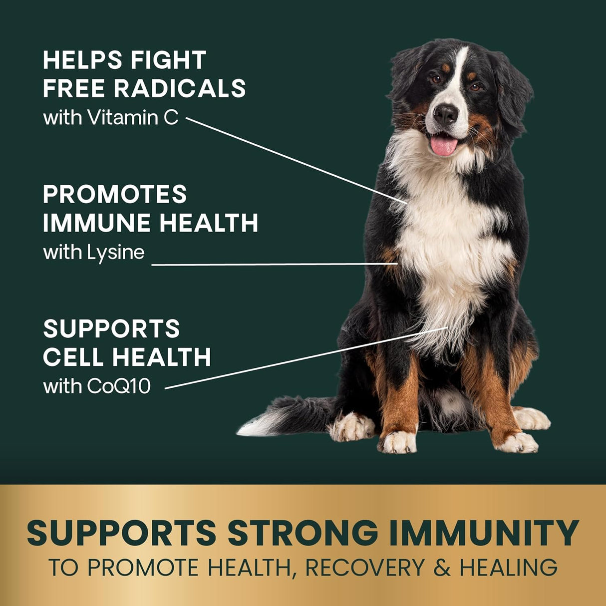VetriScience Immunity Health Easy-Open Capsules 120 Capsulas