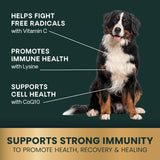 VetriScience Immunity Health Easy-Open Capsules 120 Capsulas