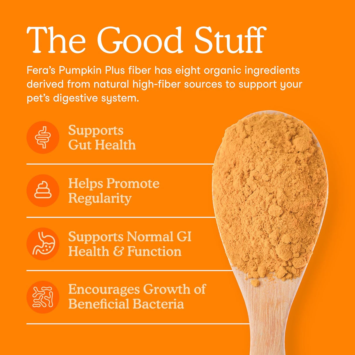 Fera Pet Organics Pumpkin Plus Fiber Supplement for Pets 90 Servicios 227Gr.