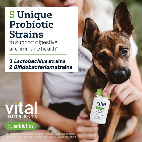 VITAL NUTRIENTS - Vital Nutrients Pro Pets Probiotics for Dogs and Cats 60 Tabletas - The Red Vitamin MX - Probióticos Para Perros - {{ shop.shopifyCountryName }}