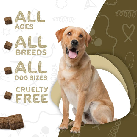 WAGGEDY - waggedy Daily Essentials Adult Soft Chews 60 Masticables 2 Pack - The Red Vitamin MX - Multivitamínicos Para Perros - {{ shop.shopifyCountryName }}