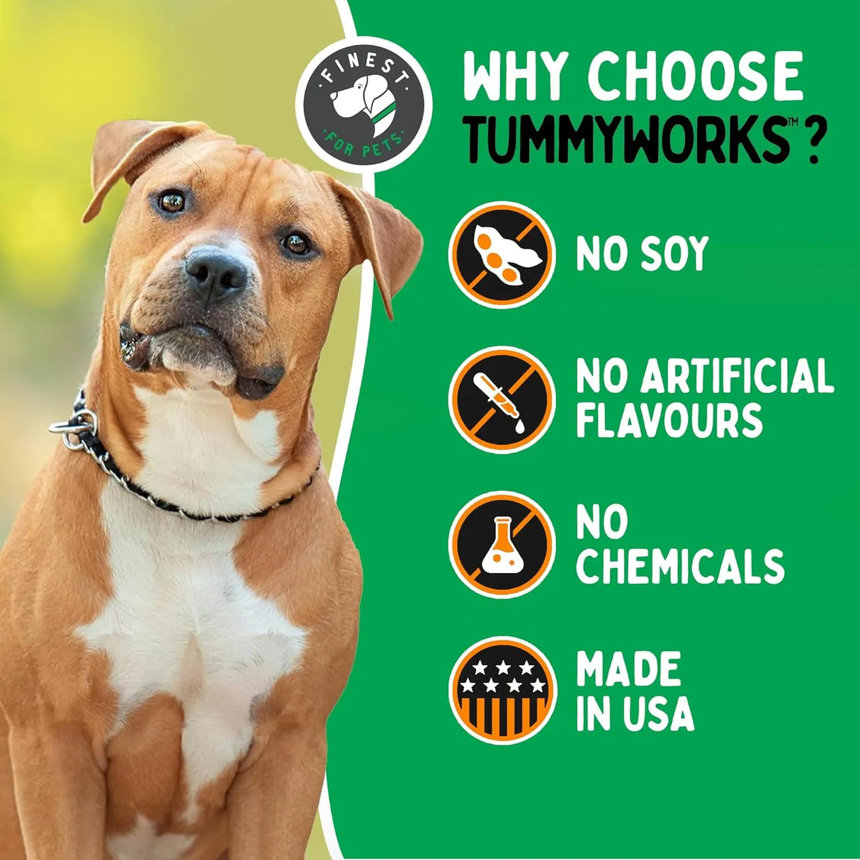 TUMMYWORKS - TummyWorks Probiotic Soft Chews for Dogs 120 Masticables - The Red Vitamin MX - Probióticos Para Perros - {{ shop.shopifyCountryName }}