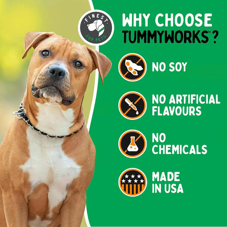TUMMYWORKS - TummyWorks Probiotic Soft Chews for Dogs 120 Masticables - The Red Vitamin MX - Probióticos Para Perros - {{ shop.shopifyCountryName }}