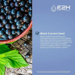 E2H - E2H Natural Black Currant Extract 2 Fl.Oz. - The Red Vitamin MX - Suplementos Alimenticios - {{ shop.shopifyCountryName }}