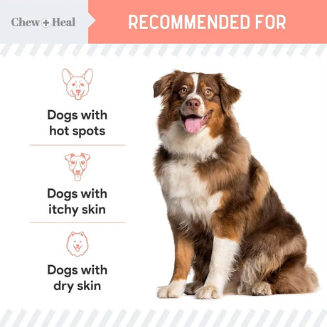CHEW + HEAL - Chew + Heal Labs Natural Hot Spot Treatment for Dogs 2 Fl.Oz. - The Red Vitamin MX - Remedios Para La Picazón De Perros - {{ shop.shopifyCountryName }}