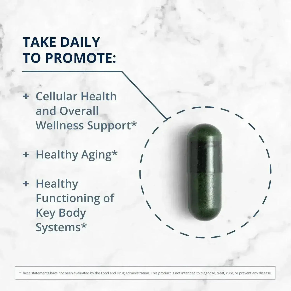 METAGENICS - Metagenics PhytoMulti Multivitamin 60 Capsulas - The Red Vitamin MX - Suplementos Alimenticios - {{ shop.shopifyCountryName }}